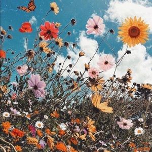 Meet your Posher, Alexa